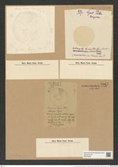 Coscinodiscus thumii Cleve (de-Toni-Nr.: Genus 202, Species 5106) Zeichnungen Sammlung Grunow Nr. 8867 (NHMW-BOT-W0378505)